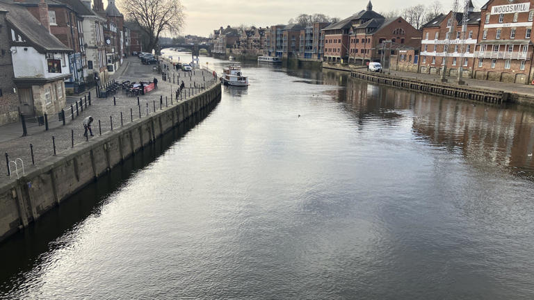 Campaigners say river bacteria levels too high