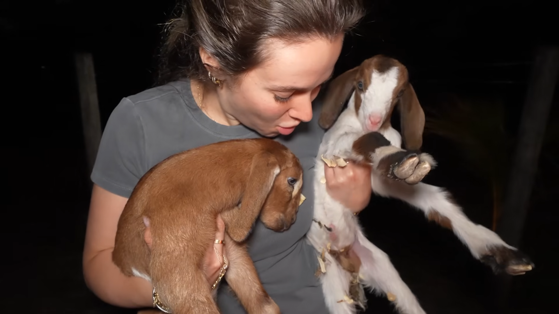 Newborn animals get a second chance after losing their mother during birth