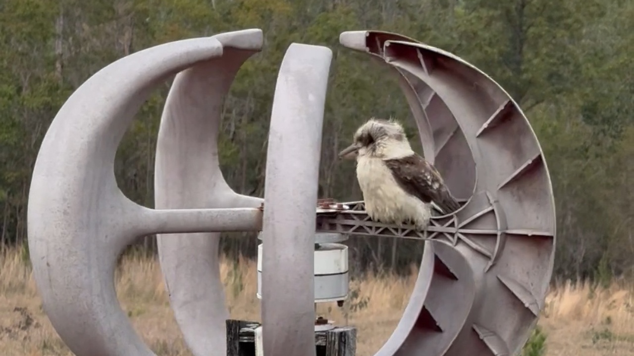 Kookaburra rides rotating off-grid wind turbine
