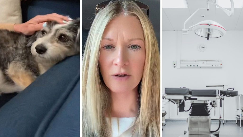 Elle pensait que son chien Bear s’était simplement blessé à la patte ...