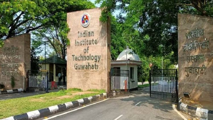 IIT Guwahati study explains how plants adapt water transport system ...