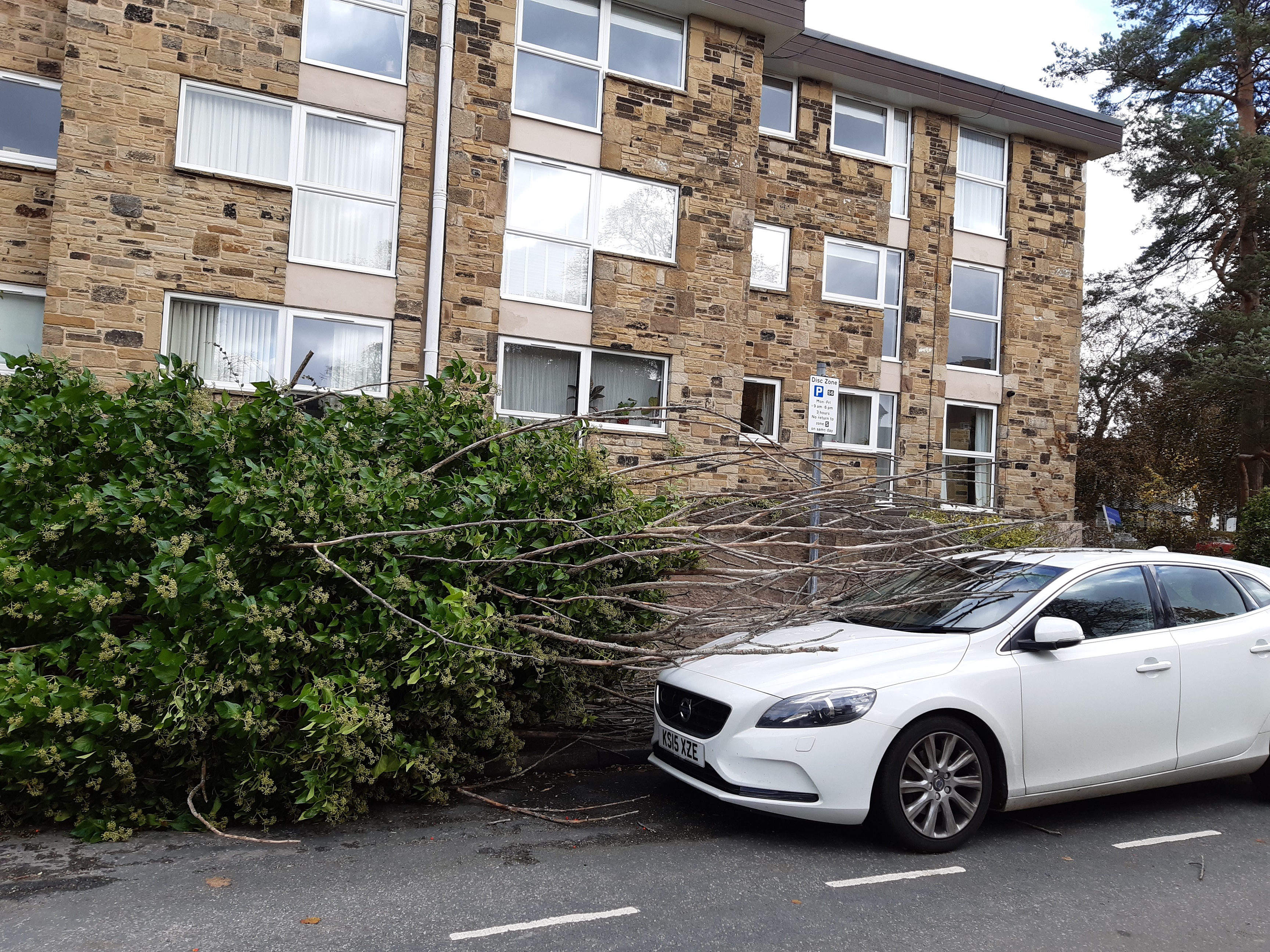 Storm-hit Harrogate tackles fallen trees, blocked roads, power cuts and ...