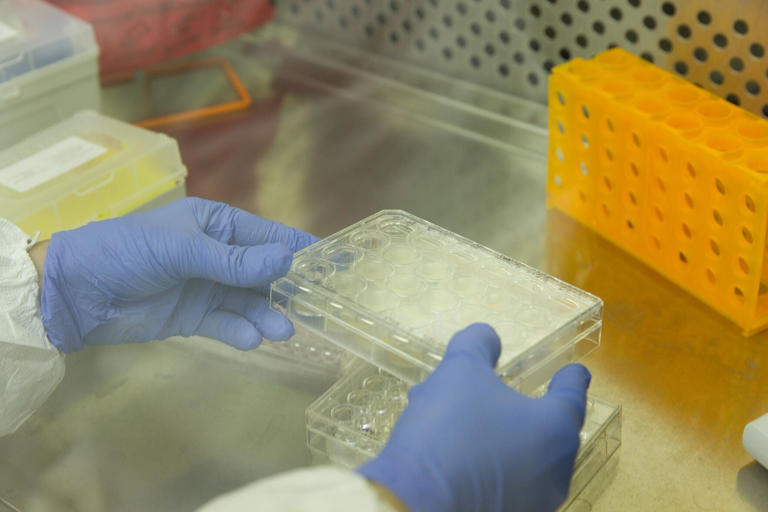 New Orleans-based biotech company lured to SC as first for MUSC lab