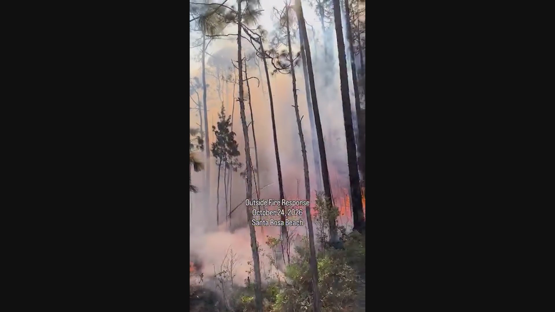 Fire in Point Washington State Forest is 95% contained