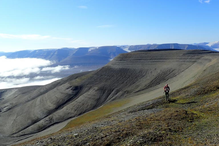 The aftermath of Earth’s worst mass extinction: 250-million-year-old ...