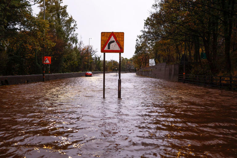 2 men killed by falling trees as storms bring 'devastating' high winds ...
