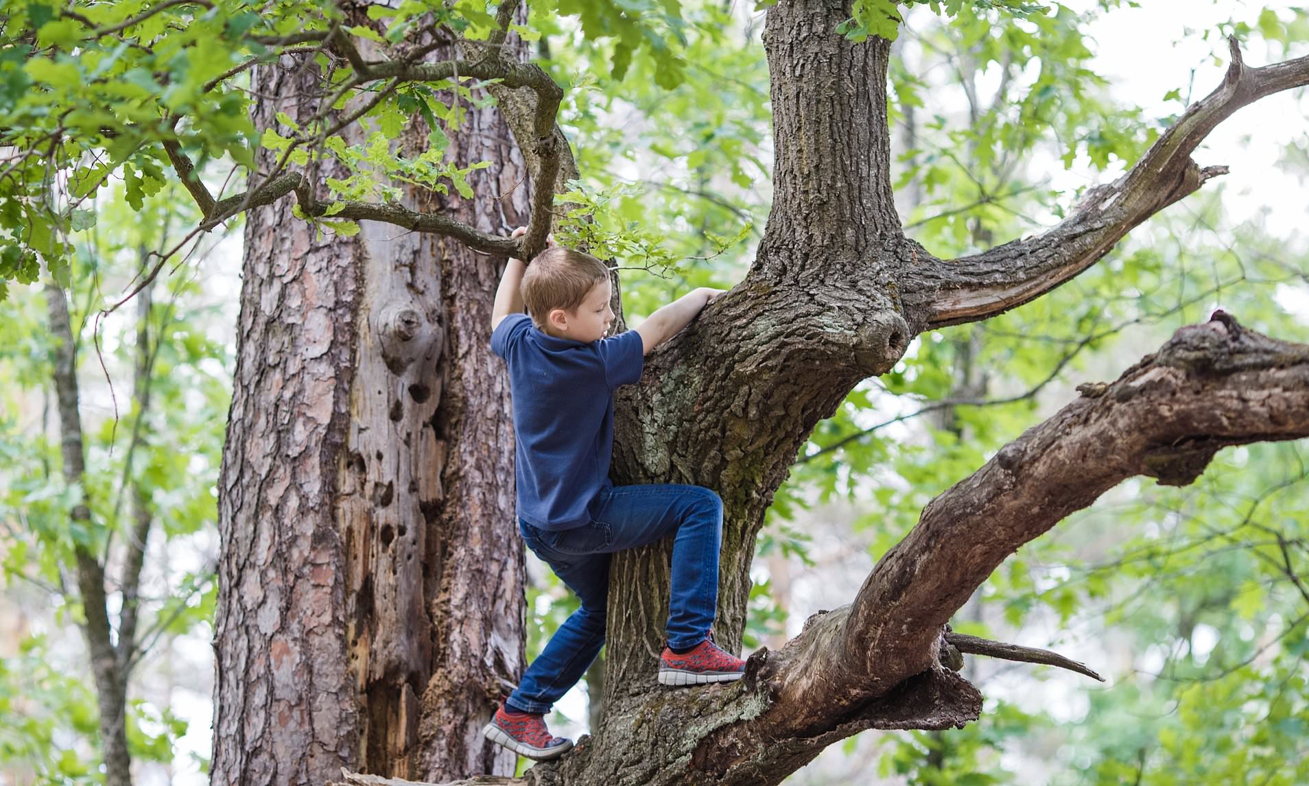 The childhood activities that make for happier, brighter kids - the ...