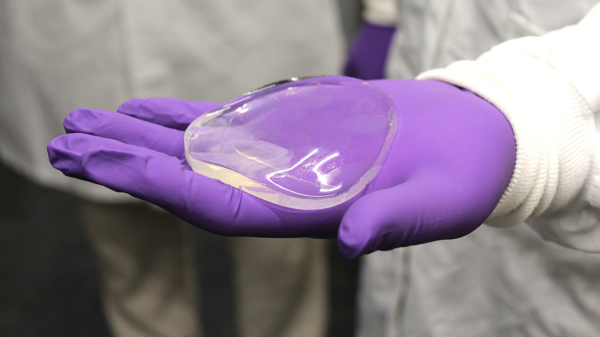Sea cucumber-inspired gel helps rat tendons heal, could repair human ...