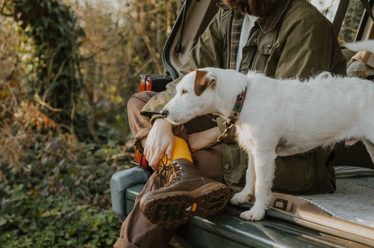 Vet's simple walking habit that can tire a dog out faster than a long walk