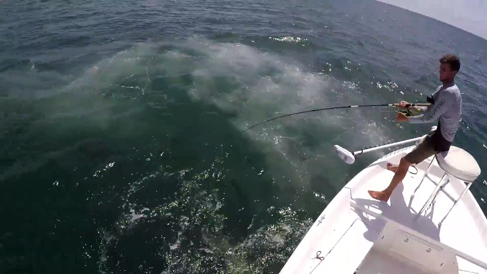 A shark attacks a large tarpon during a fishing trip