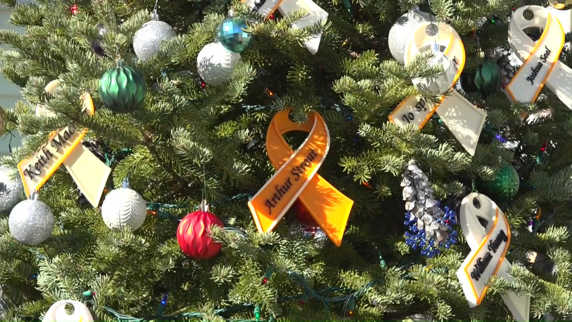 Lewiston shooting victim's family honors his memory with Christmas tree ...