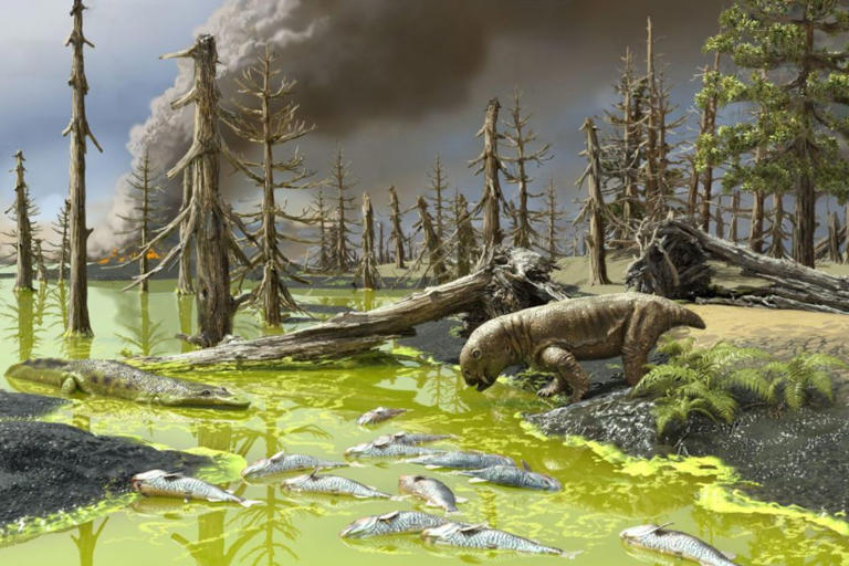 The aftermath of Earth’s worst mass extinction: 250-million-year-old ...