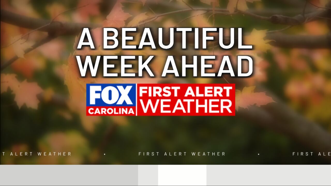 First alert: Gradual warm up this week, rain returns this weekend