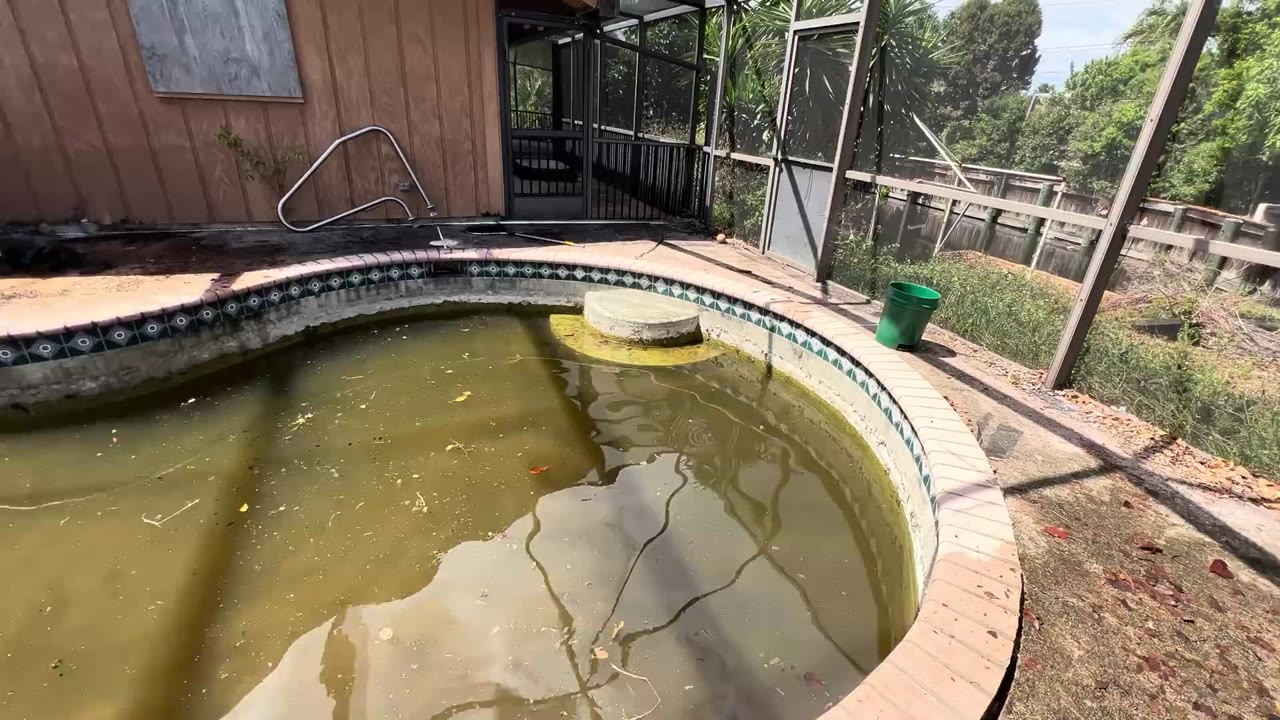 Large fish are discovered in an abandoned swimming pool