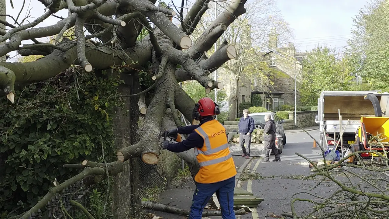 Workers removed a fallen tree and debris after Storm Boelo battered ...