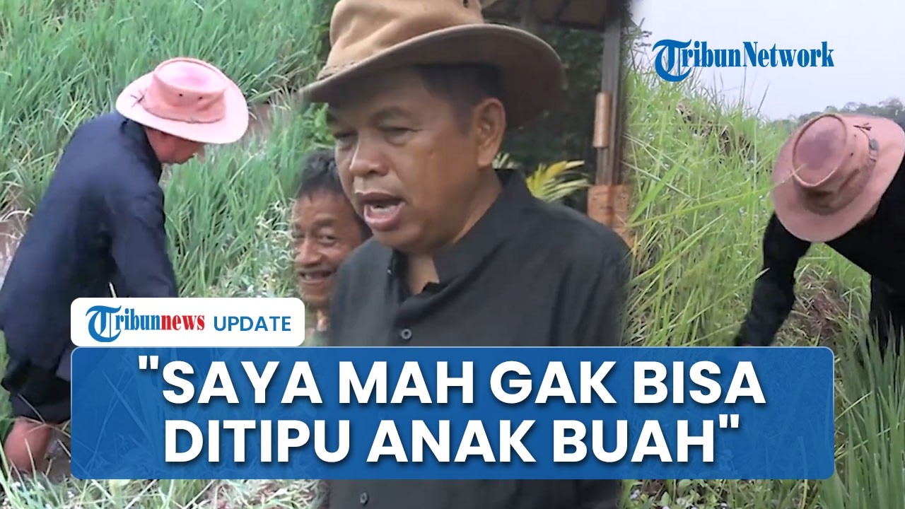 Dedi Mulyadi turun langsung ke sawah, beri contoh cara bersihkan rumput ...