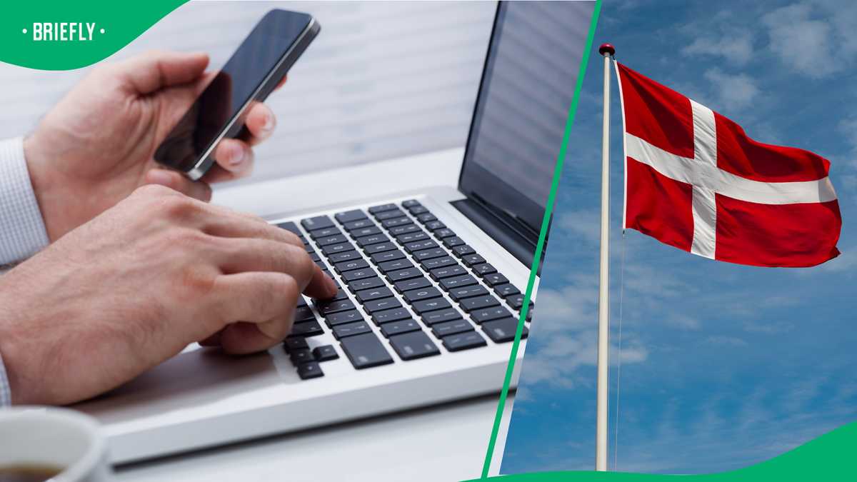 Denmark's government creates dedicated online platform giving skilled ...