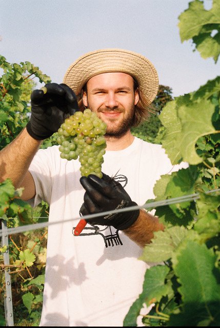 ‘I put a winery in the garden’: Gen Z are building businesses from the ...