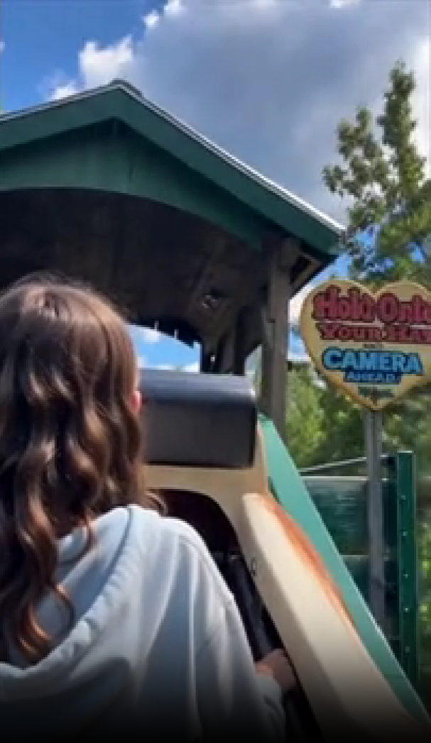 A raccoon gets into trouble after a risky decision