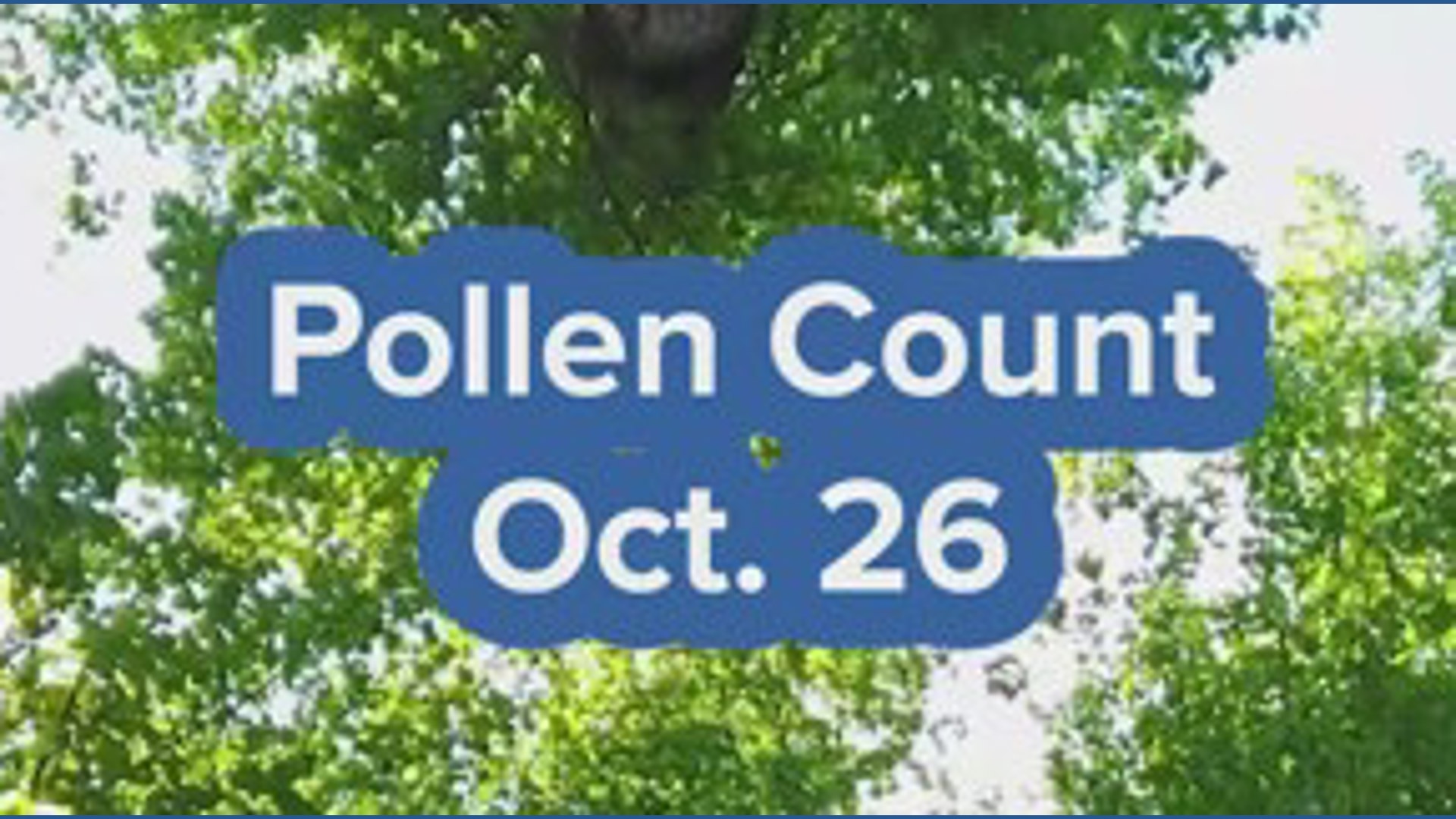 Pollen count Monday shows light ragweed and molds