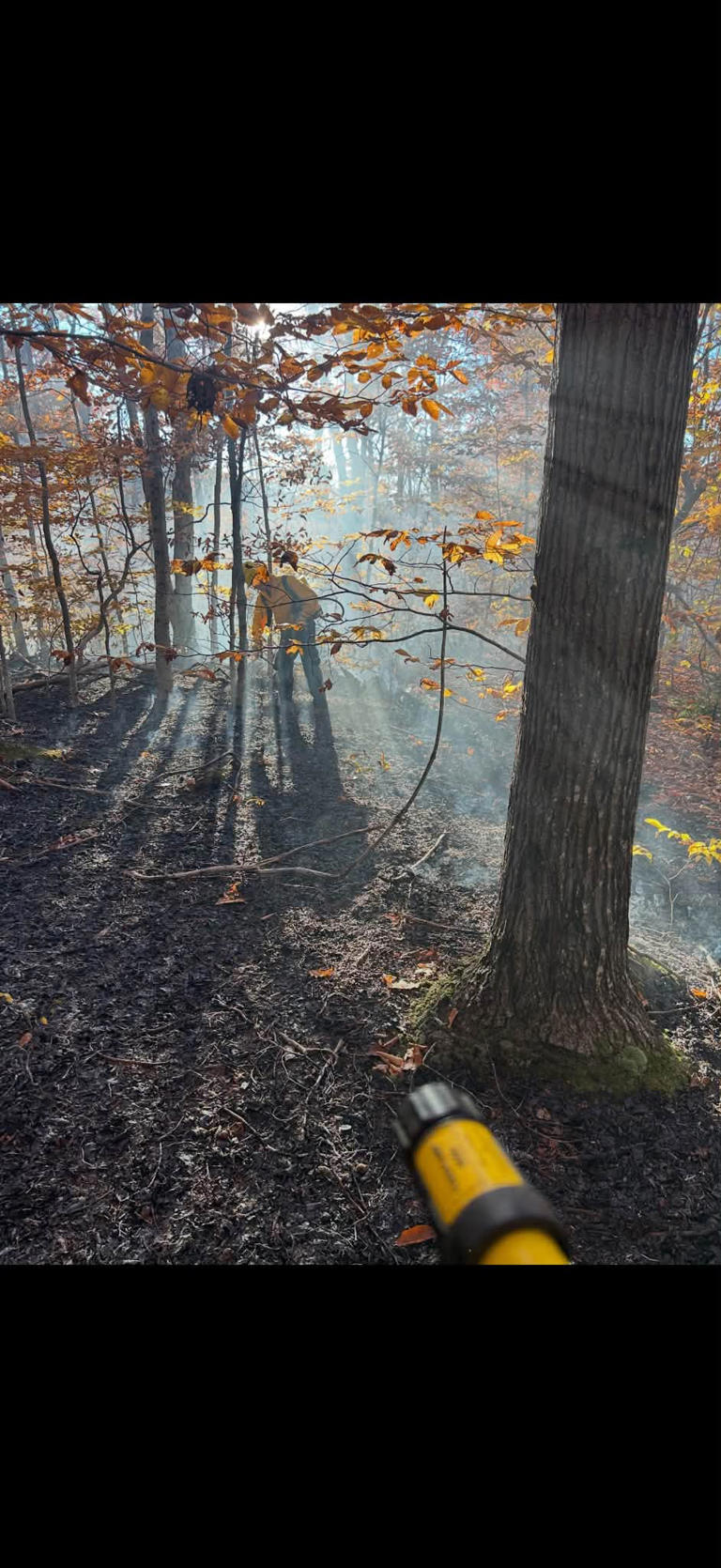 Firefighters battle large brush fire in Berlin