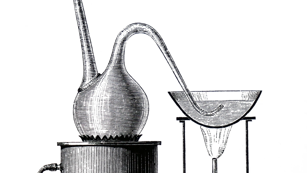 Fermentation decoded: from microbes to magic