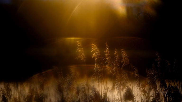 Under-14 photography winner captures the last rays of winter sunshine ...