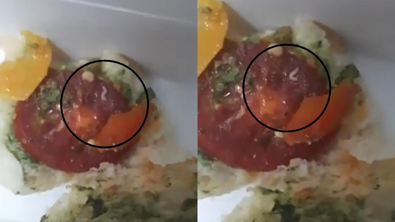 Watch | IndiGo passenger finds live worm in sandwich, airline responds