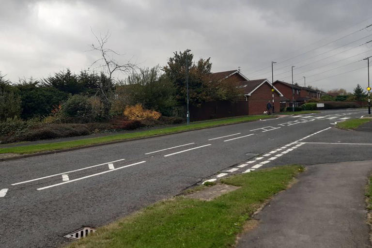 South Tyneside homeowner's bid to build house in back garden fails for ...