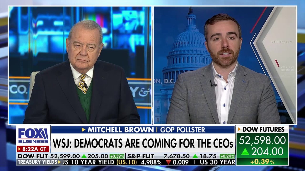 Democrats may target Trump-backing CEOs, Wall Street Journal warns