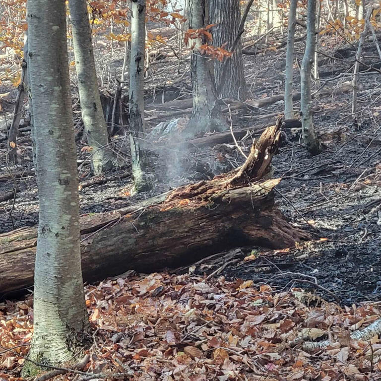 Rensselaer County wildfire grows to 45 acres, crosses state line