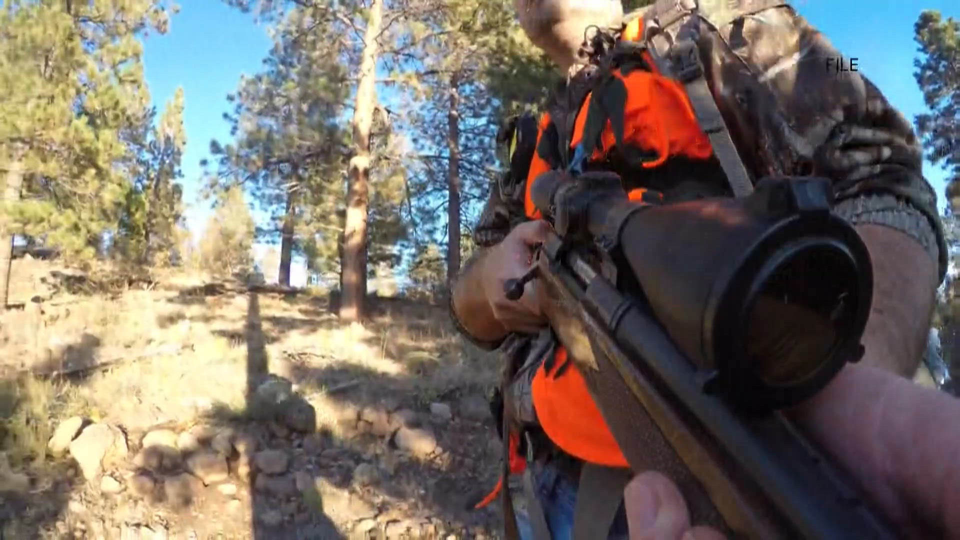 Idaho hunters must submit samples within CWD zones
