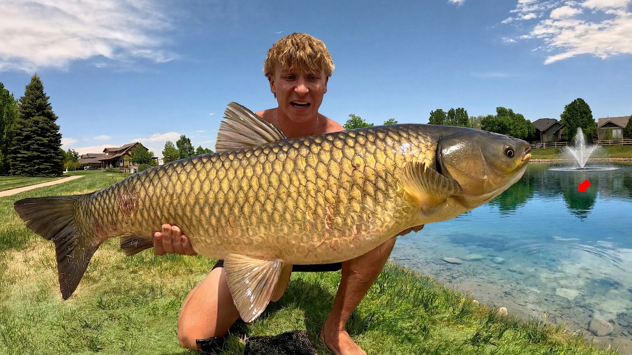 I hunted giant fish in tiny ponds!