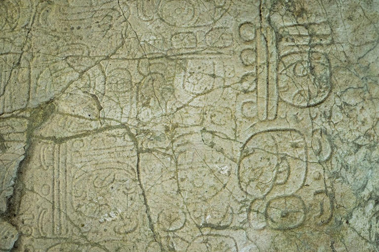 Archaeologists at this ancient Maya metropolis in the forest of Belize ...