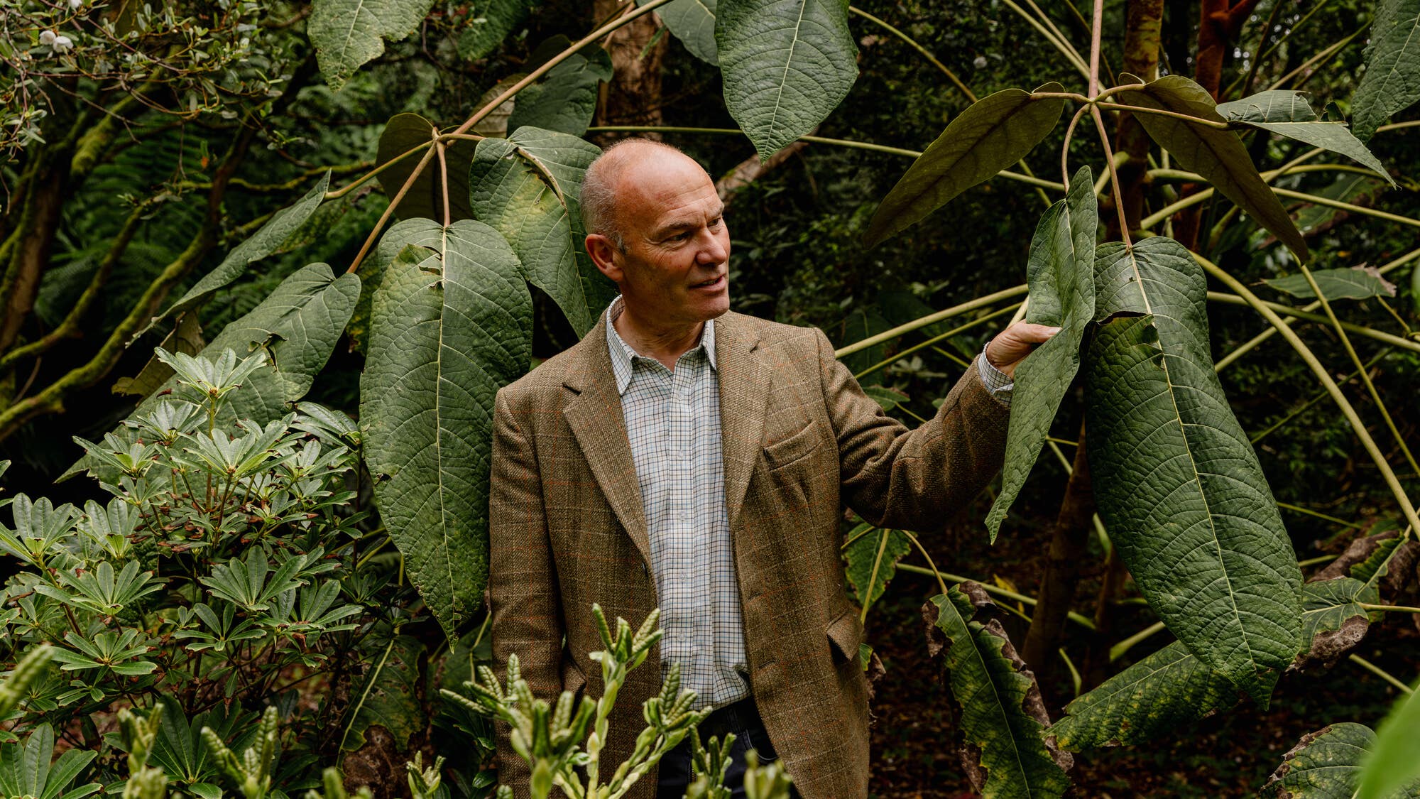 Tributes to man killed by tree during Storm Boelo as more high winds ...