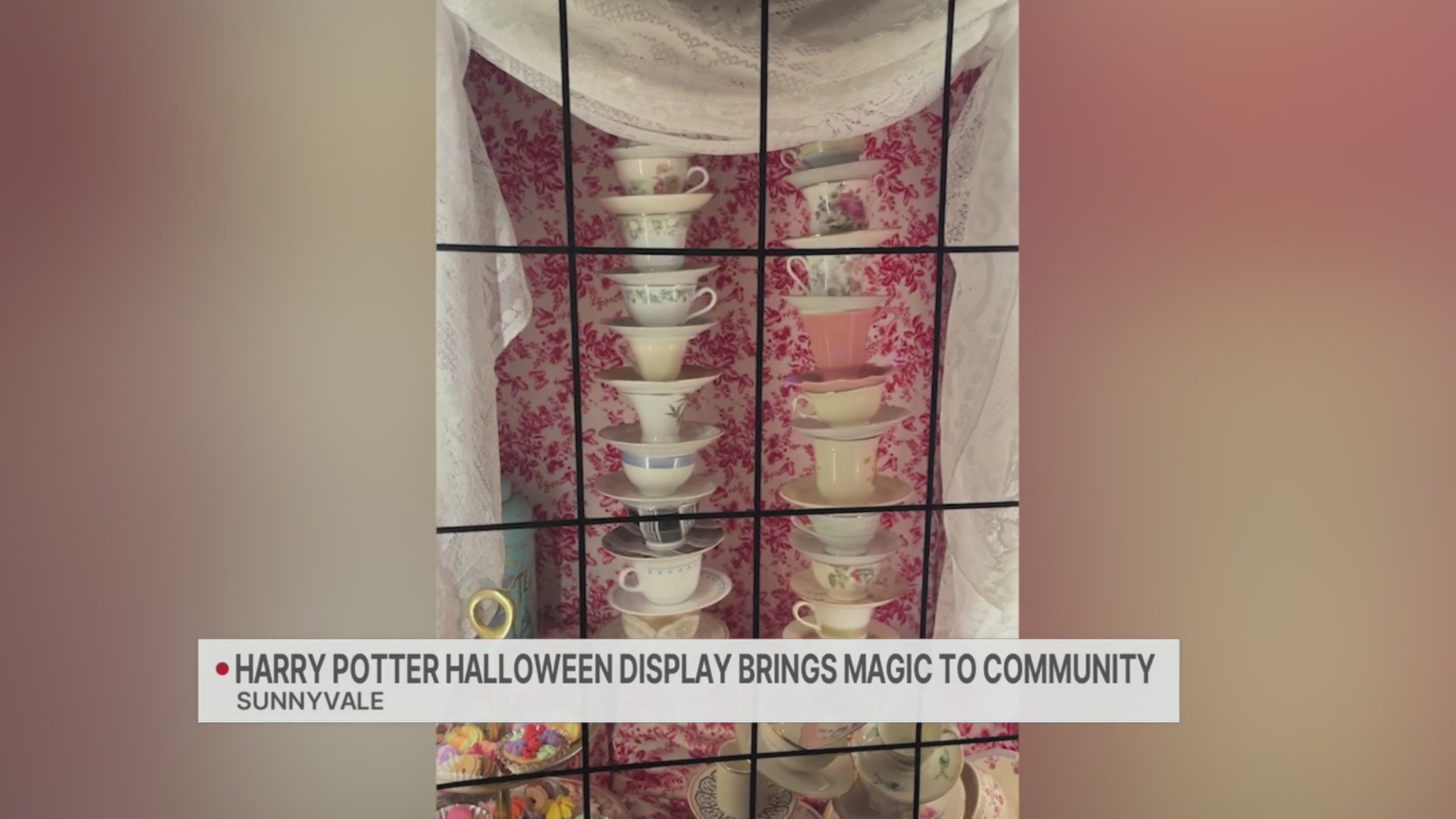 Harry Potter-themed Halloween display brings some magic to this ...