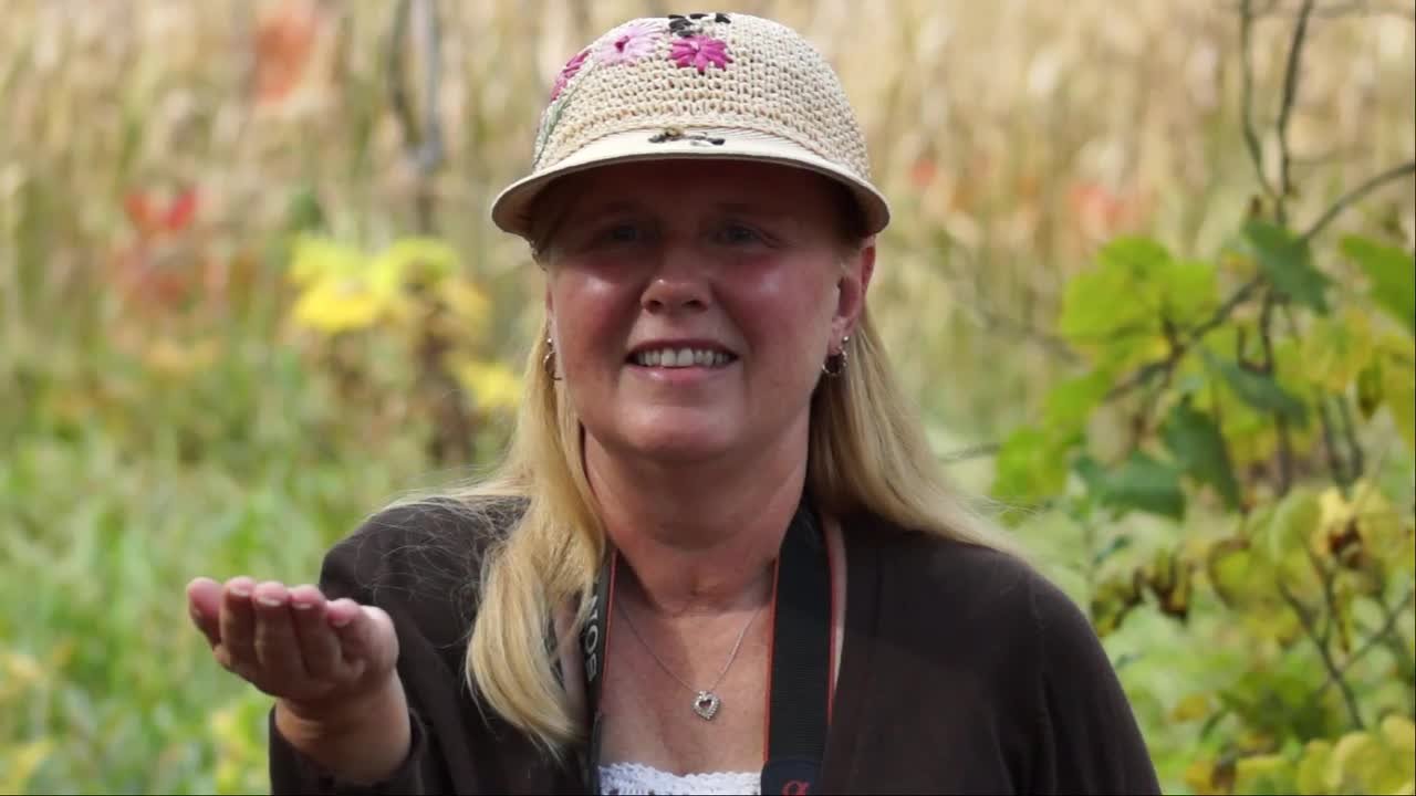 Woman stands still as birds adorably eat food from her hands and hat
