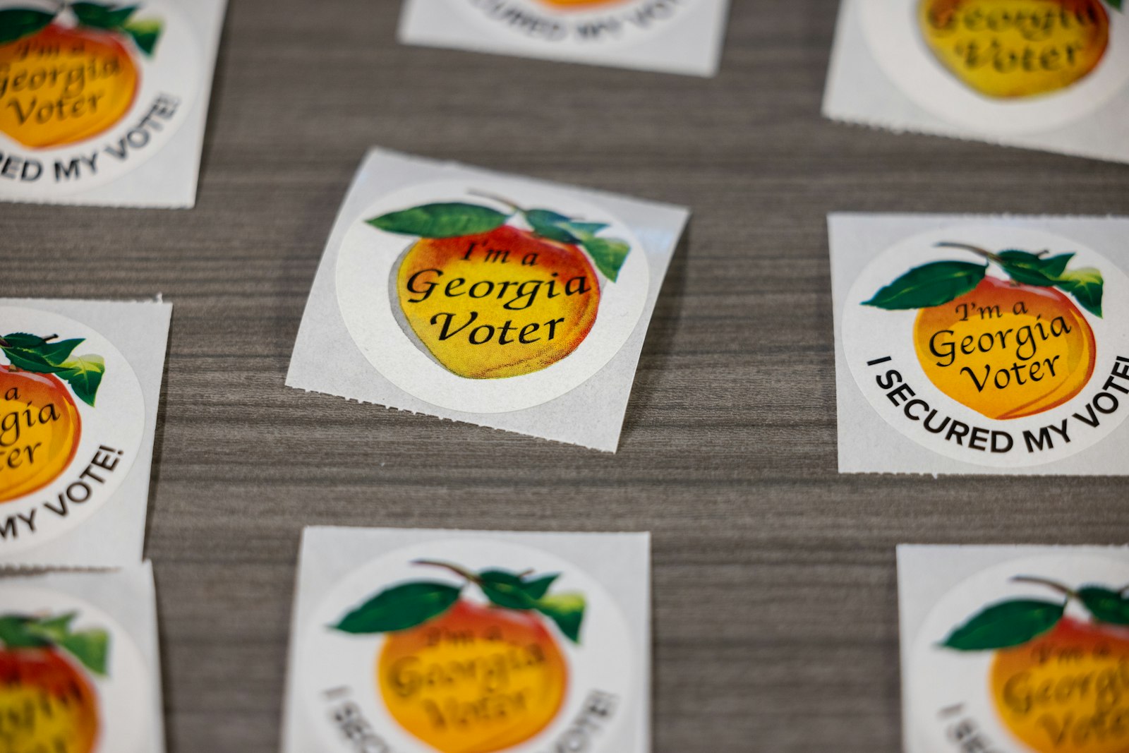 Major AI bot spontaneously accesses key swing state's voter data