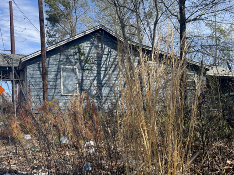 Weeds, junk and bad parking. What Lexington-area code violations got ...