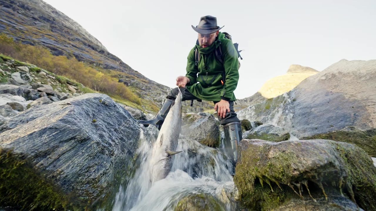 Grilling fish in the middle of the river: delicious or dangerous?