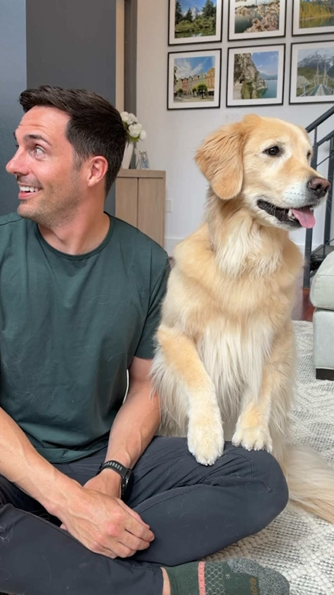 Watch a golden retriever follow along with every cue in the song