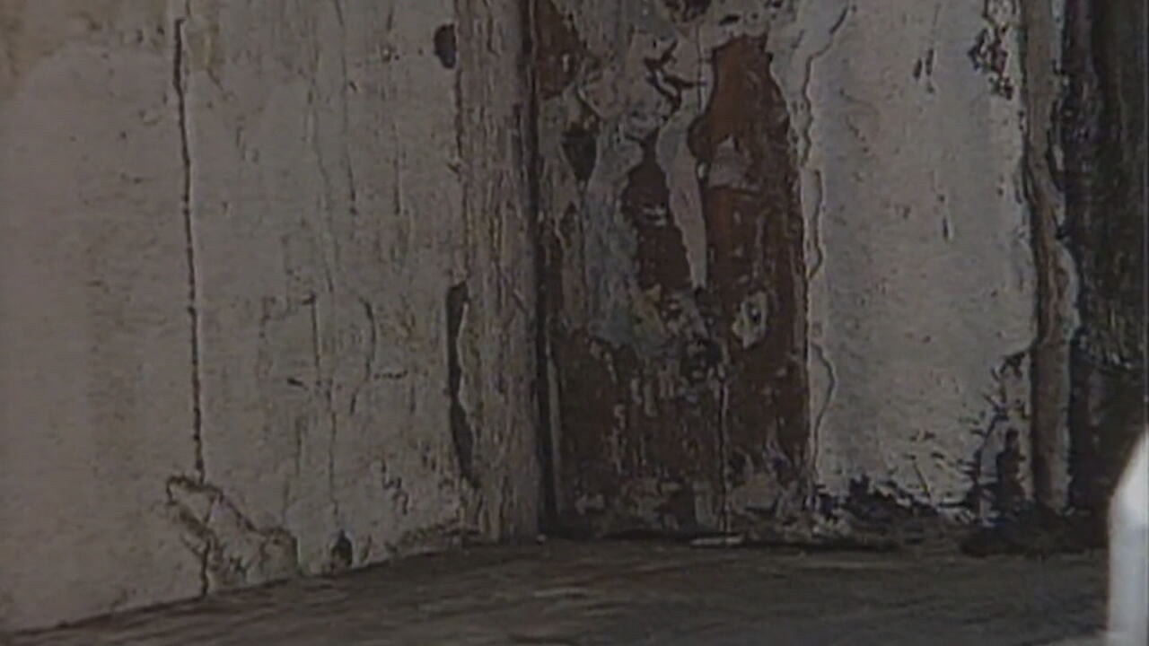 National Lead Poisoning Prevention Week highlights health risks for ...