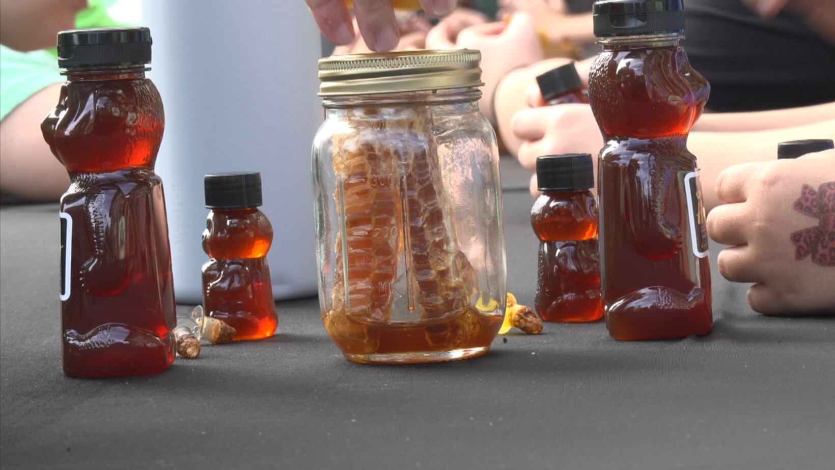 Grand Bear Golf Course shares bees with South Mississippi students