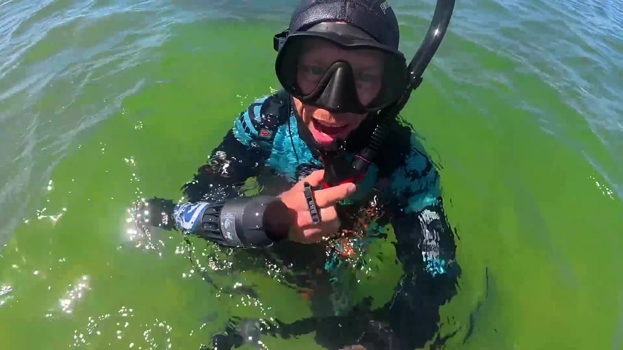 Rings found underwater during post-storm metal detecting