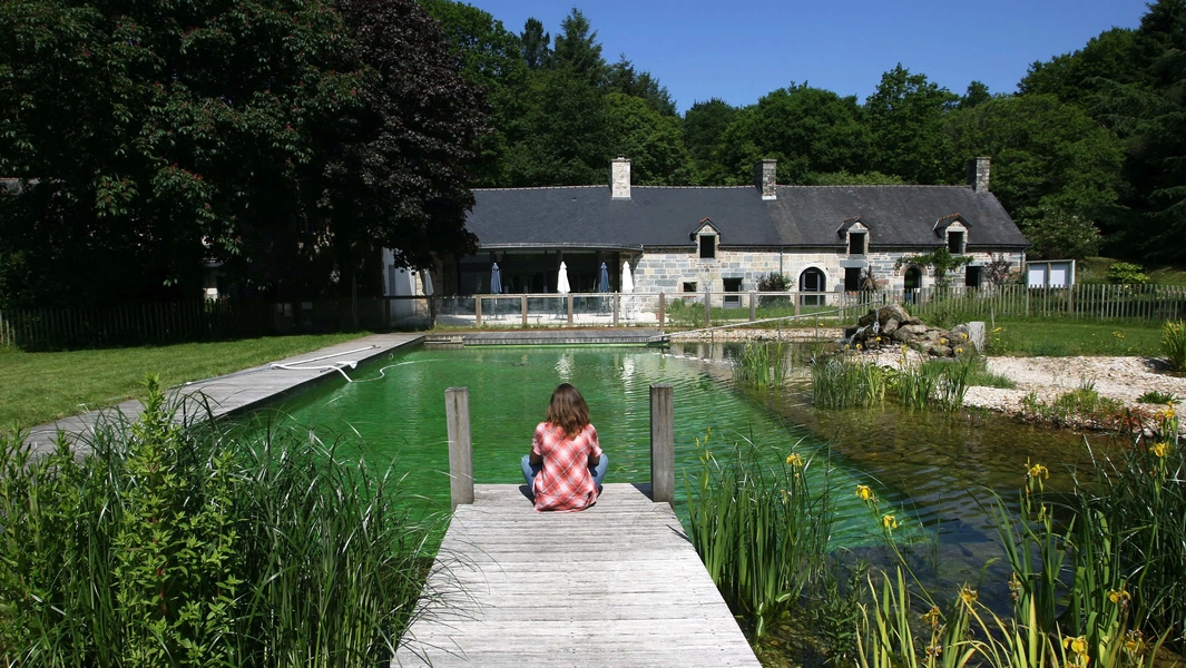 Building and maintaining a natural swimming pond