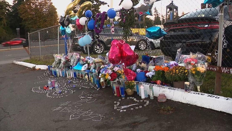 Court documents detail alleged DUI in crash that killed Federal Way teen