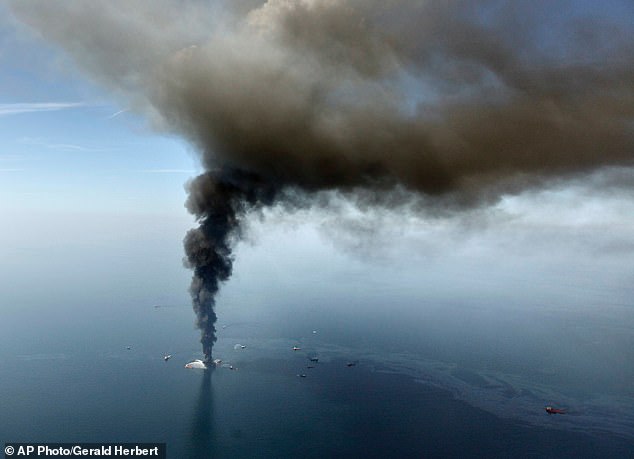 Deepwater Horizon spill is still wreaking havoc: Sea life in Gulf of ...