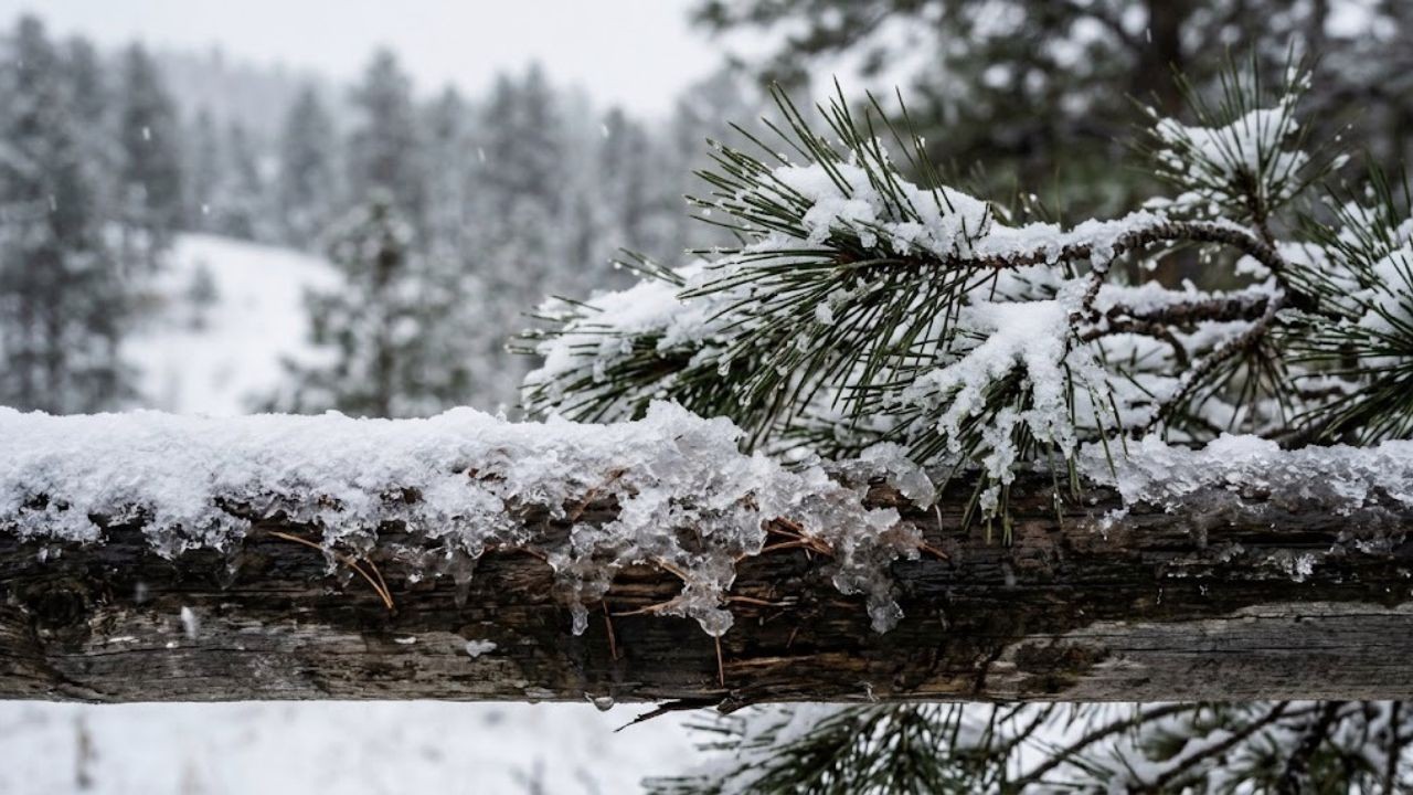 Black Hills and Dakotas face first snow of season