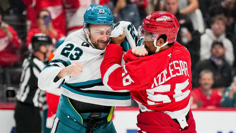 Why the Red Wings should consider scratching Keegan Koelsar