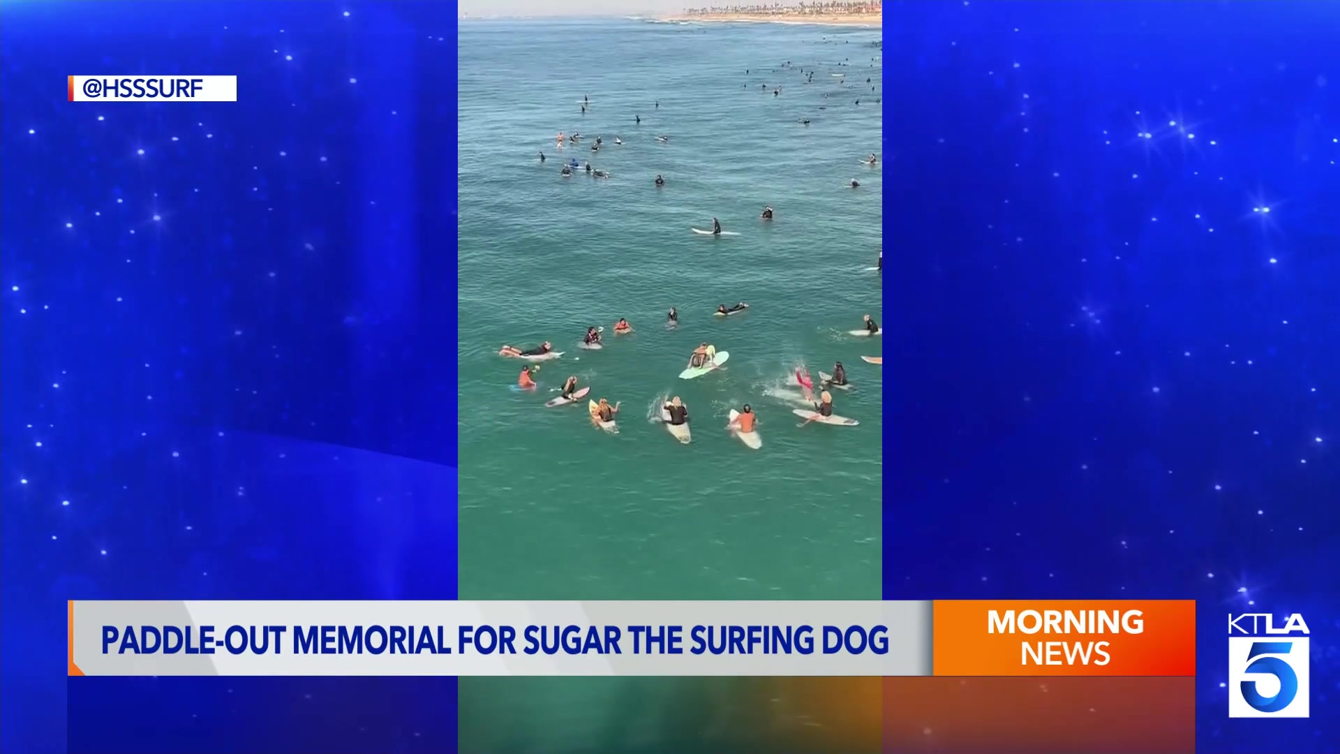 Paddle-out memorial held in Huntington Beach for beloved surfing dog